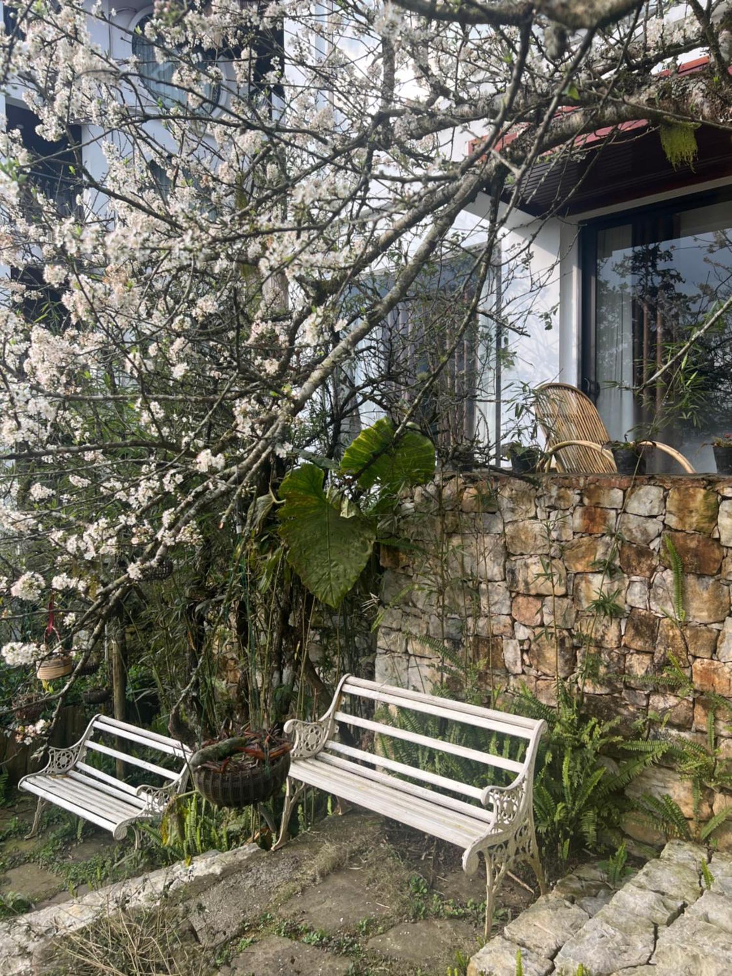 Green Villa Sapa Bagian luar foto
